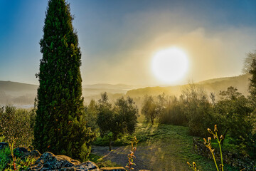 Image of the Tuscan countryside against the sunrise near the Cerreta Spa in Sassetta Livorno...