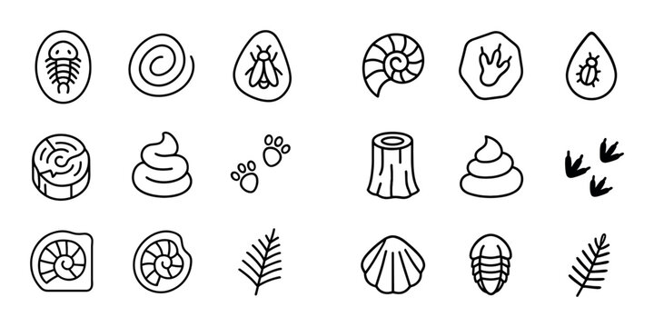 Minimal Fossil Icons