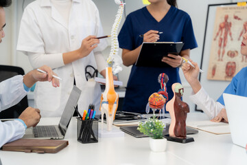 Medical Team Discussing Anatomy in Meeting