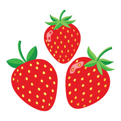 create a set of strawberry vector in white background