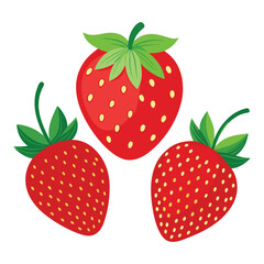 create a set of strawberry vector in white background