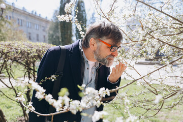 Senior man suffering from allergy smelling cherry tree flowers in spring