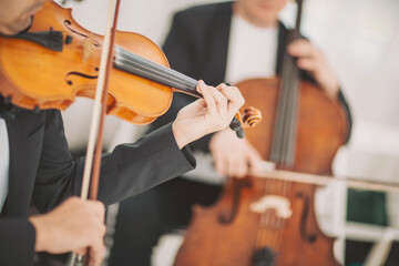 Captivating melodies fill the air as skilled musicians perform in a serene setting, creating a...