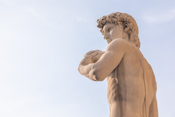 Fototapeta premium Italy, Florence. David by Michelangelo, antique marble sculpture, perfection man body