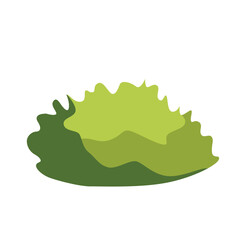 Flat design of a large round green plant, perfect for outdoor, garden, and nature themes, symbolizing vibrant growth and natural textures.