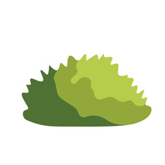Flat design of a round, green plant with soft shading, ideal for garden, nature, or eco-friendly projects symbolizing simple growth and natural beauty.