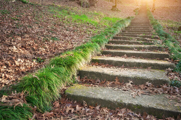 Stairs from concrete leading to the top.