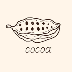 Cacao logo in sketch style, ink doodle. Hand drawn card label with cacao beans, plant for text. Design for print, paper, template, wrapping. Food and spa ingredient, Chocolate, organic oil. Vector