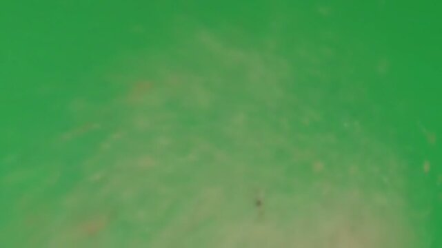 Abstract Green Background Texture Subtle Dust and Particle Effects