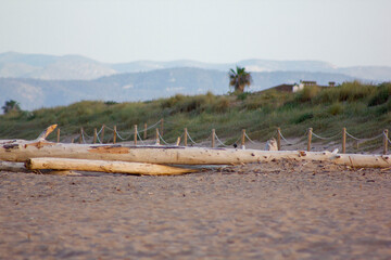 demoledora naturaleza