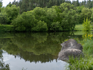 A large rock in the middle of a small pond surrounded by trees