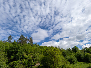 A view of a river with trees and clouds in the sky
