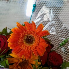 Bouquet of flowers