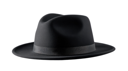 Classic Fedora: A stylish black fedora hat, a timeless symbol of classic elegance and sophistication. This accessory embodies a blend of vintage charm and enduring style. 