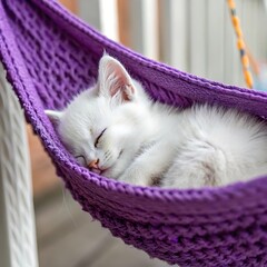 Cute white kitten sleeping in a purple knit hammock