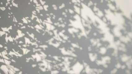 Abstract light and shadow overlay soft leaf shadows on white wall