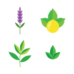 Summer season element flat color   