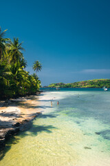 paradise beach with turquoise water, wooden pier and tropical palm trees, summer holidays in Thailand, Koh Kood