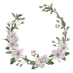 Round wreath created from delicate cherry blossoms, buds, leaves, and twigs. Hand drawn watercolor illustration of snow-white petals on isolated background. Floral layout for tableware, wedding design
