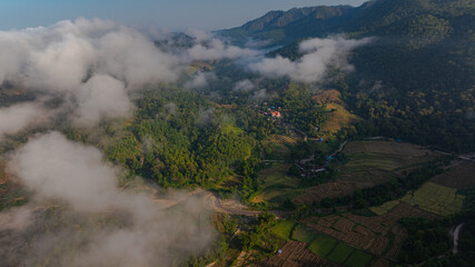 An aerial view of terraced rice fields in a charming valley of golden rice fields and lush forests covered in morning mist, creating a peaceful and atmospheric rural atmosphere. beautiful nature
