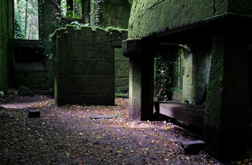 Mossy walls and eerie atmosphere in an abandoned house in Galicia, Spain
