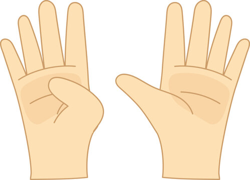 Number 9 Finger Hand Gestur Counting