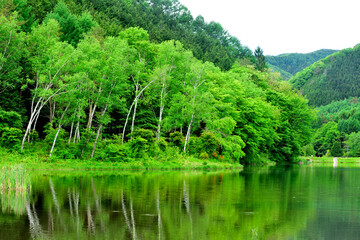 リフレクション