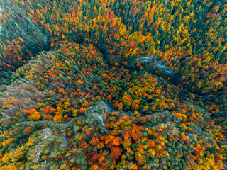 Sunset over Liptov region. Autumn Kvacianska walley deciduous forest view from above landspace,...