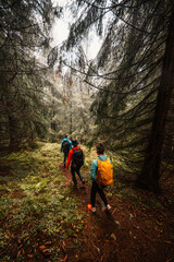 Liptov region hiking in Low Tatras mountains landspace, Slovakia.