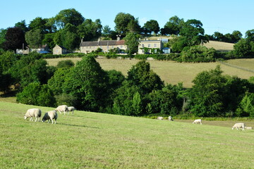 Scenic view of a farmland field and a flock of sheep grazing in a valley in rural England