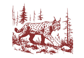  Lynx hand drawn sketch vector illustration © Shutoda