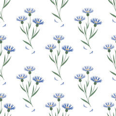 Seamless pattern of blue cornflowers on transparent background, concept for textile design, wallpaper, and floral illustrations