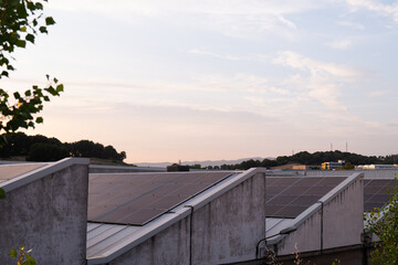 Fototapeta premium Solar panels on industrial rooftop during golden sunset. Sustainable energy, eco-conscious development concept.