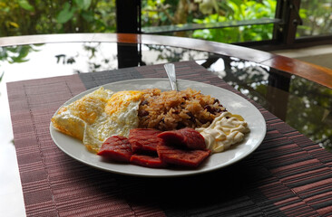 Gallo pinto, a typical Costa Rican dish with rice, red beans, sausage, cream, and a fried egg, and...