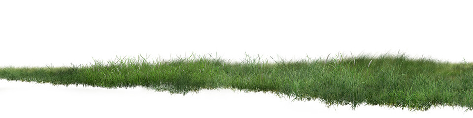 The lush green grass sways gently in the breeze, a perfect symbol of nature’s calm beauty in the great outdoors. /grass on white background