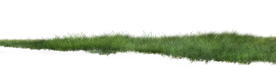 Keuken achterwand Gras The lush green grass sways gently in the breeze, a perfect symbol of nature’s calm beauty in the great outdoors. /grass on white background  © Saharattaphum
