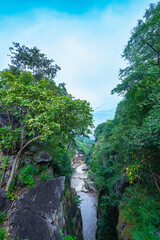 A picturesque view of a river gorge surrounded by lush green forests, with towering rock formations and a narrow bridge connecting the cliffs. The natural beauty and vibrant greenery. kissing cliffs