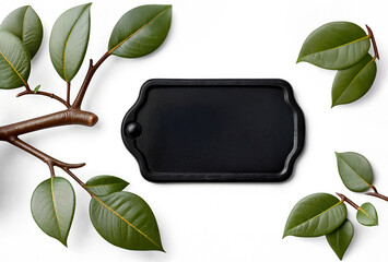 collage set of green leaves isolated with black label