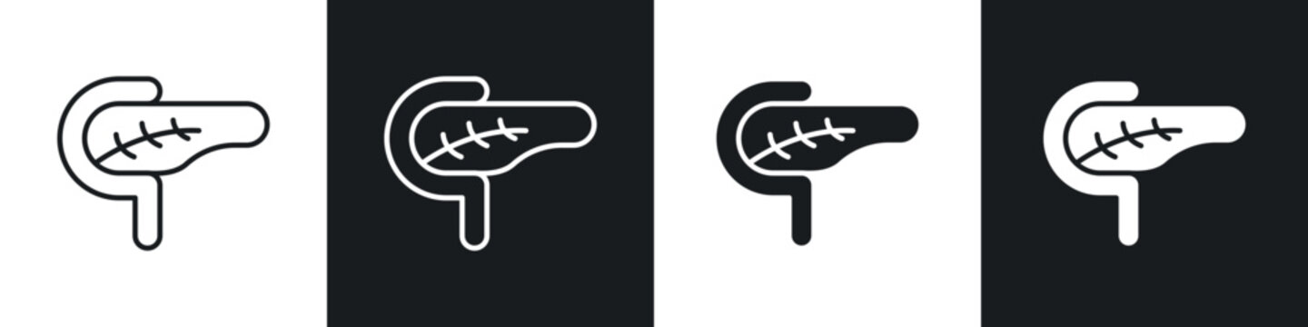 pancreas icons in solid and stroke graphics