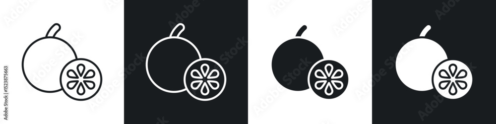 Poster grapefruit icons in solid and stroke graphics