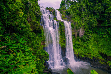 waterfall in the forest