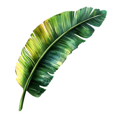Vibrant green tropical leaf with detailed texture and natural