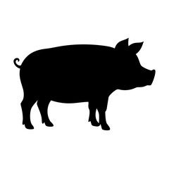 vector illustration of a pig