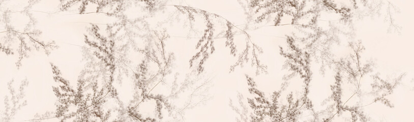 Stylish Floral Design Collection for Creative Aesthetics
