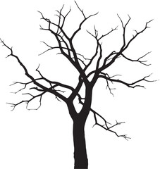 tree silhouette isolated on white