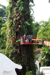 Supertree Grove at Gardens by the Bay in Singapore during the Day | May 2025