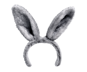 Soft gray bunny ears for festive celebrations and fun activities on a transparent background, cut out