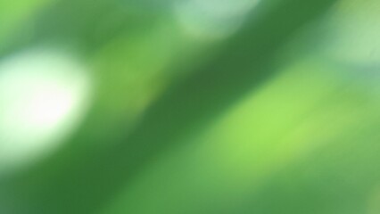 Photo of green objects taken with bokeh lens to make gradient colors