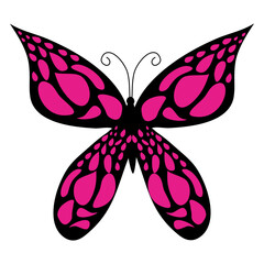 Vector moth Isolated on white background.