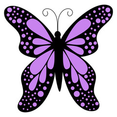 Vector moth Isolated on white background.